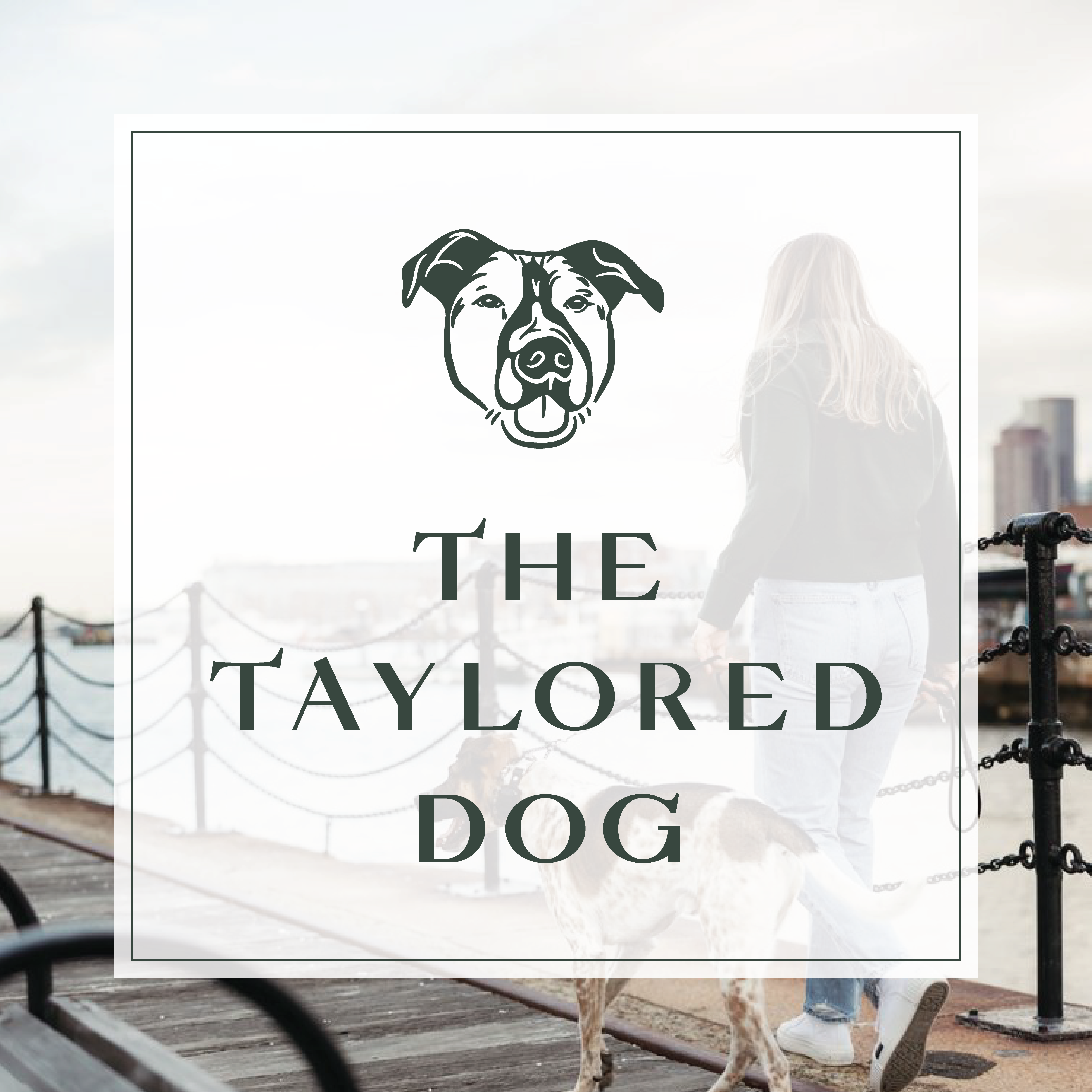 The Taylored Dog Logo
